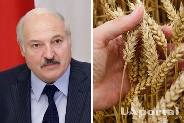 'Мобилизуйте всех, учащихся также': Лукашенко объявил мобилизацию для сбора урожая