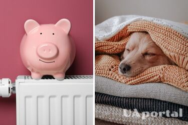 Как увеличить теплоотдачу батарей: это поможет сэкономить деньги
