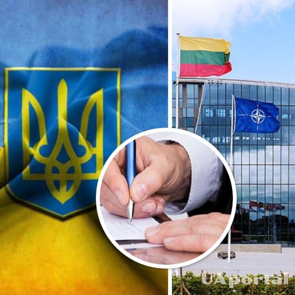 Три країни-члени НАТО проголосують проти вступу України до Альянсу - експерт-міжнародник
