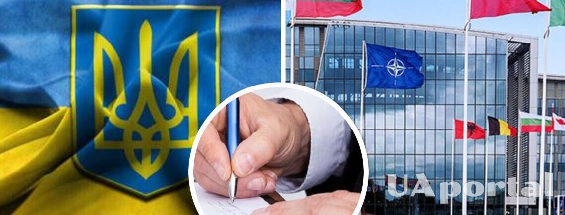 Три страны-члены НАТО проголосуют против вступления Украины в Альянс - эксперт-международник