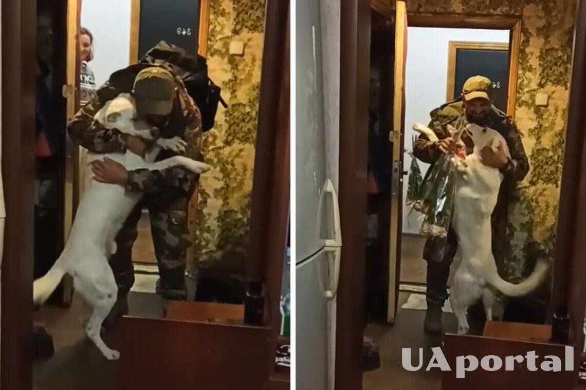 В мережі показали, як пес радісно зустрів господаря з війни
