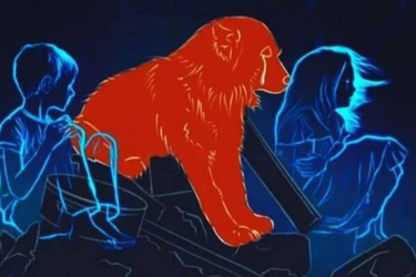 Пес 'Крим', який оплакував свою родину після обстрілу, проходить реабілітацію (відео)