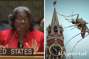 'Летучие мыши и птицы - не соблюдают суверенность границ, как и Россия': США на заседании ООН протролили Россию (видео)