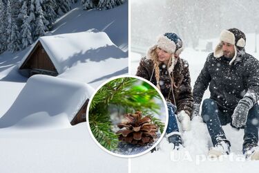 Когда выпадет первый снег в 2022 году, прогноз погоды на зиму