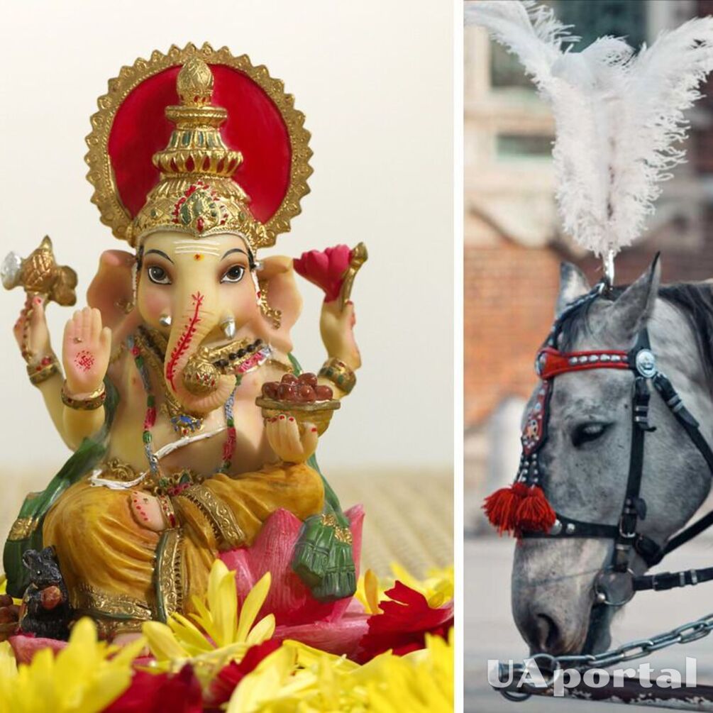 Лошади, змеи, слоны: какие животные считаются священными в разных странах мира