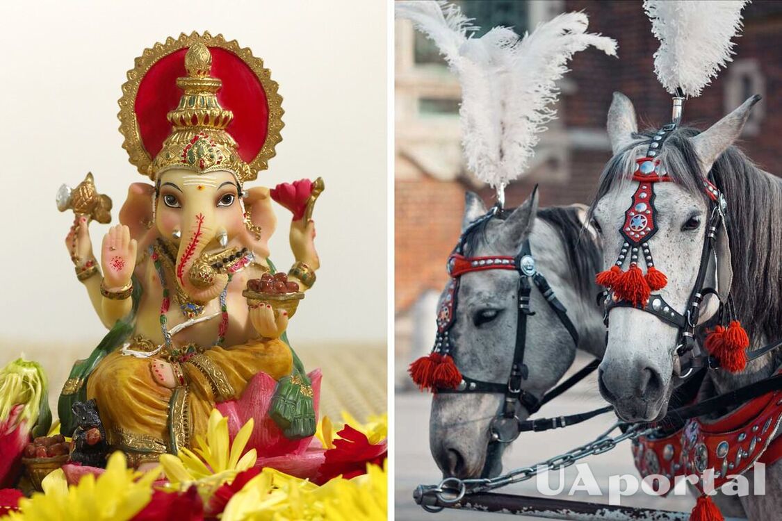Лошади, змеи, слоны: какие животные считаются священными в разных странах мира