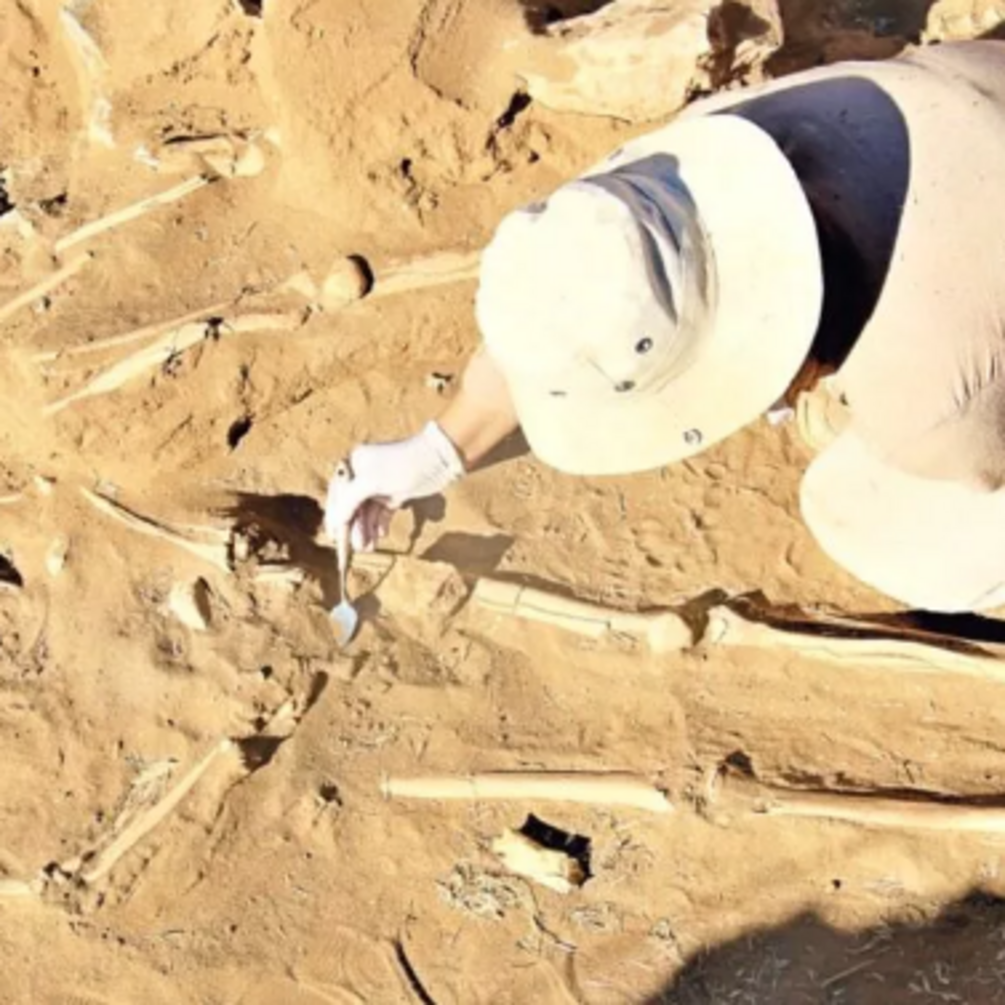Дитину поховали у амфорі: у Туреччині археологи розкопали унікальну знахідку