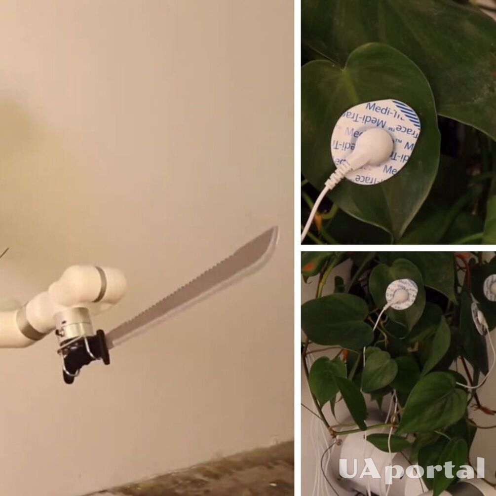 Изобретатель подключил роботизированную руку с мачете к комнатному растению: что произошло (видео)