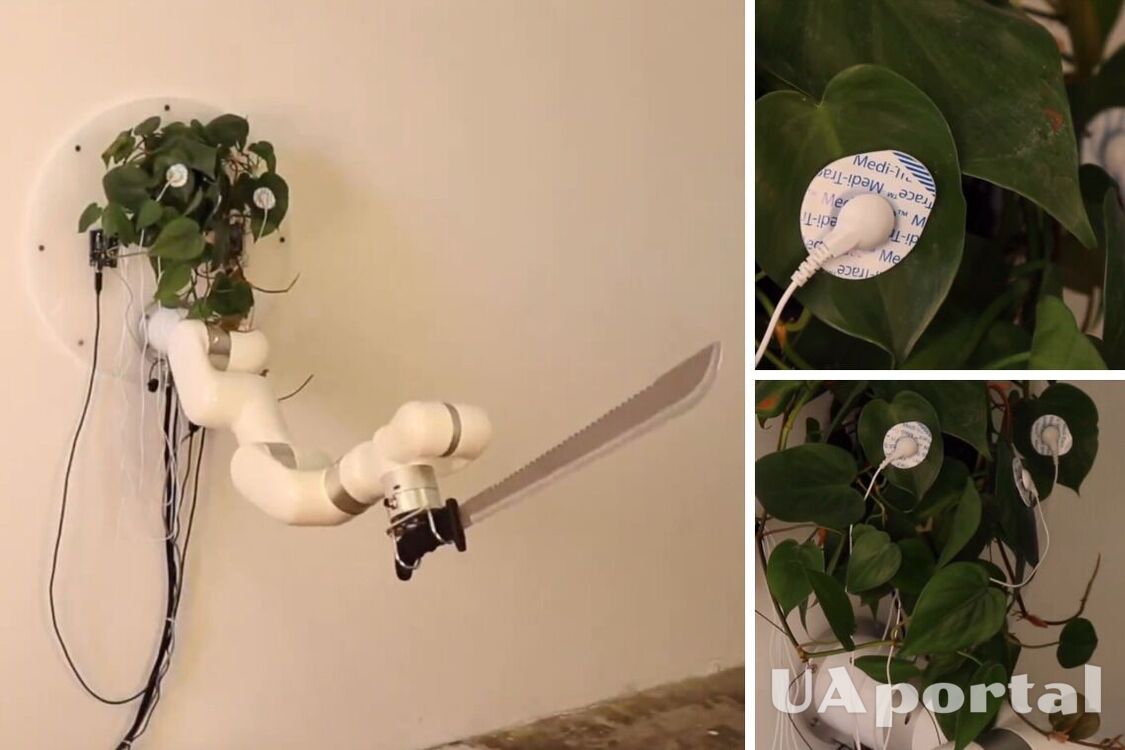 Изобретатель подключил роботизированную руку с мачете к комнатному растению: что произошло (видео)