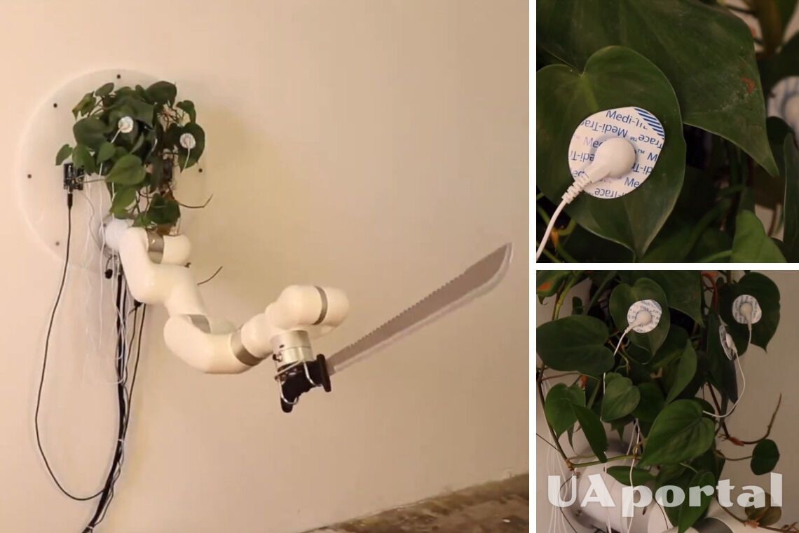 Роборука с мачете подключена к комнатному растению