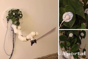 Роборука с мачете подключена к комнатному растению