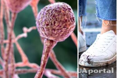 Мікроби можуть врятувати Землю від вимирання