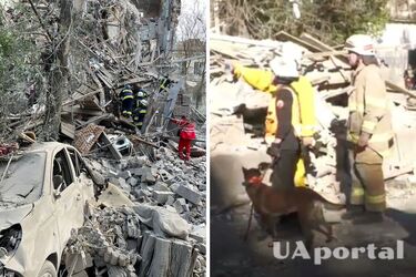 В мережі показали, як службові собаки шукають людей під завалами у Запоріжжі (відео)