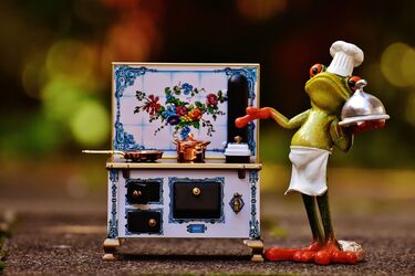 Сама куховарить, вигулює кота та робить фото: українці закидали відгуками магазин на каструлю за 32 тис. грн