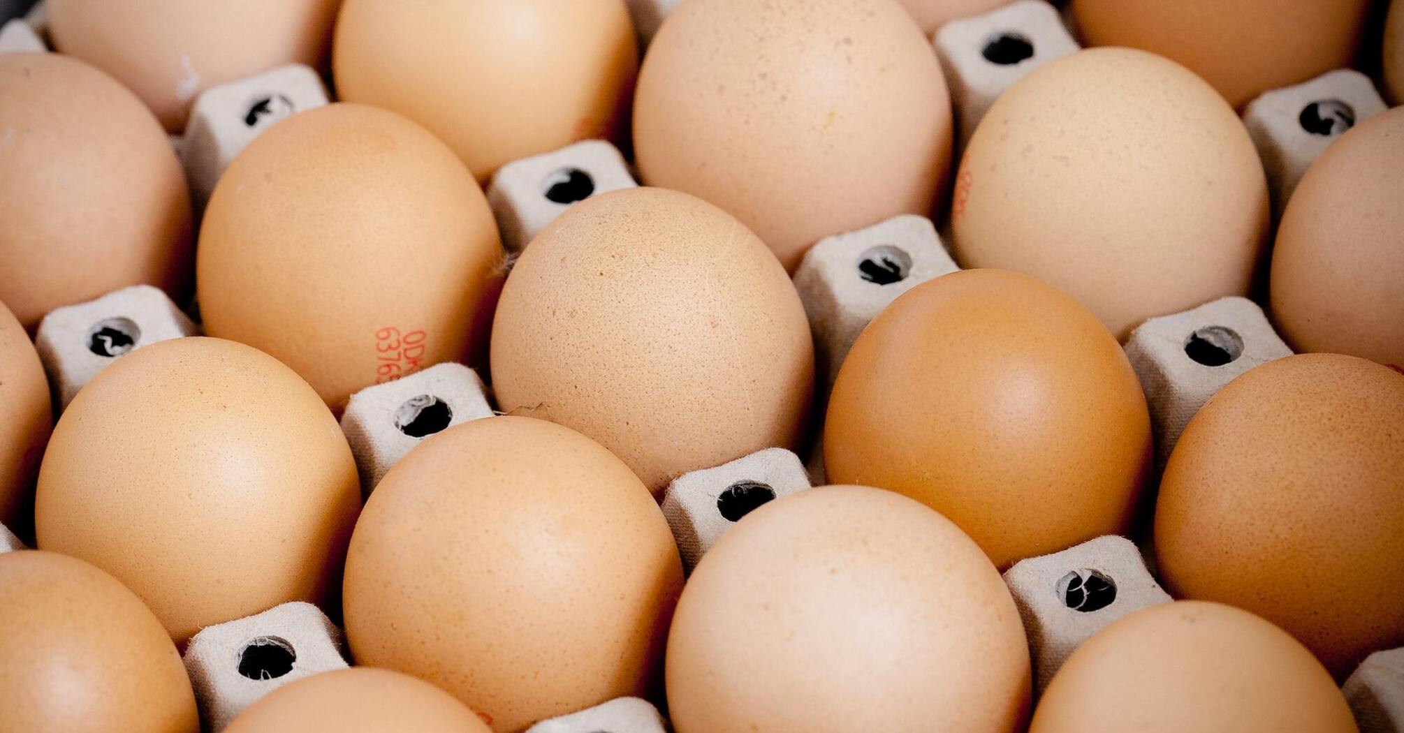 В Украине резко подорожали яйца: почему выросли цены и чего ждать дальше