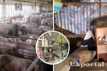 СБУ: Окупанти облаштували базу у свинарнику на Херсонщині (відео)