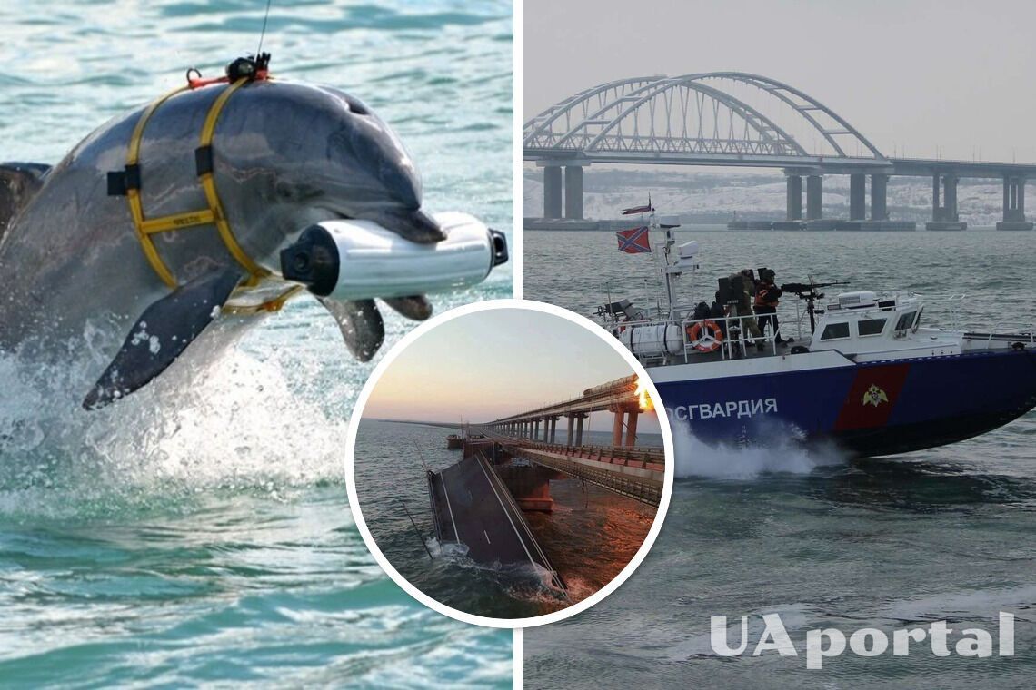 Чем защищали Крымский мост – боевые дельфины – взрыв на Крымском мосту