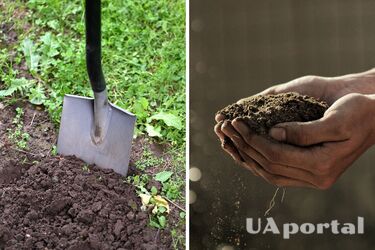 Чи потрібно перекопувати город восени