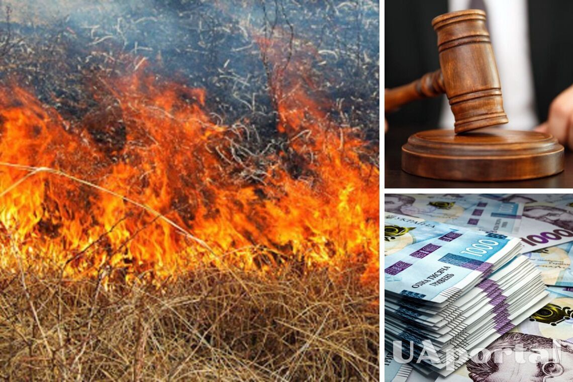 Поджигатель травы заплатил более 130 тысяч гривен штрафа во Львовской области 