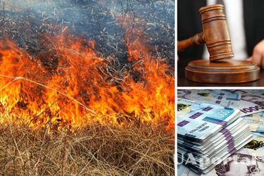 Поджигатель травы заплатил более 130 тысяч гривен штрафа во Львовской области 