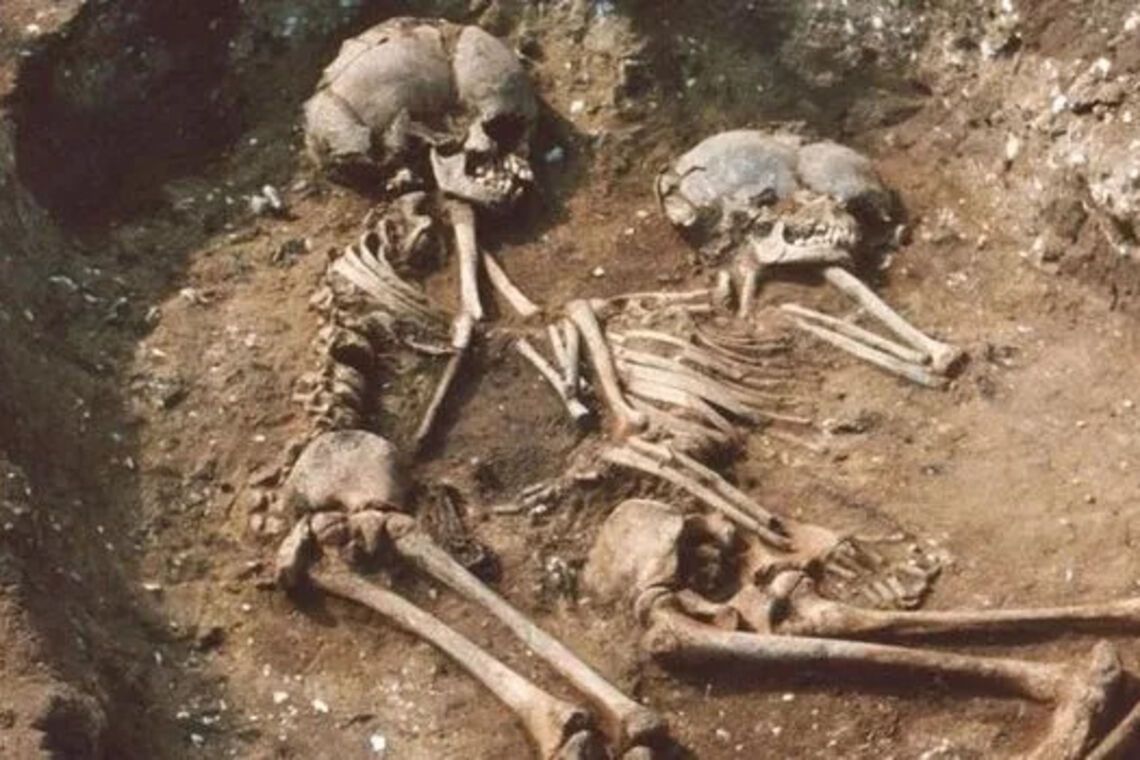 Откуда происходят первые англичане – ученые исследовали ДНК найденных археологами средневековых останков