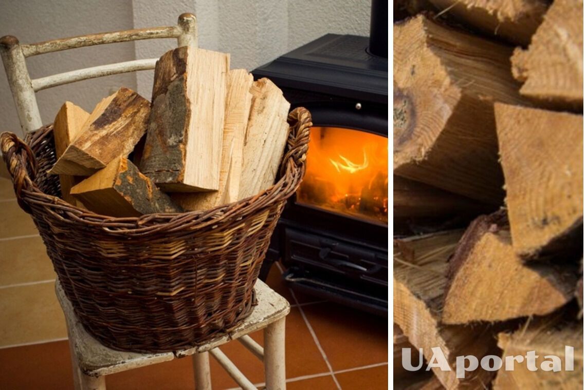 Деякі українці можуть отримати безкоштовні дрова для обігріву житла: що для цього потрібно 