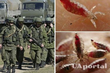 Педикульоз - воші завелися у російських військових