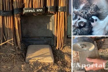 Український військовий змайстрував 'котячий КПП'