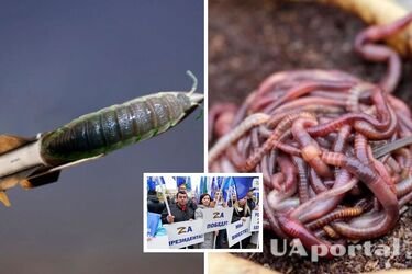 'Балістичні мокриці та протипіхотні хробаки': росіянка розповідає про 'біозброю' в Україні (відео)