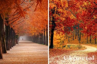 'Аномально тепла': синоптик Кібальчич дав прогноз погоди на вихідні