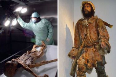 Як міг виглядати Етці