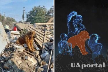 Пес Крим помер - його родина загинула 29 вересня у Дніпрі через ракетні обстріли