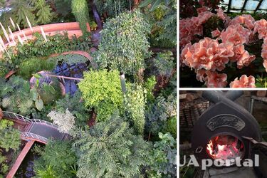 Ботсад Гришка просить про допомогу