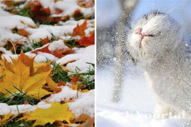 Когда выпадет снег в Украине - синоптики назвали дату