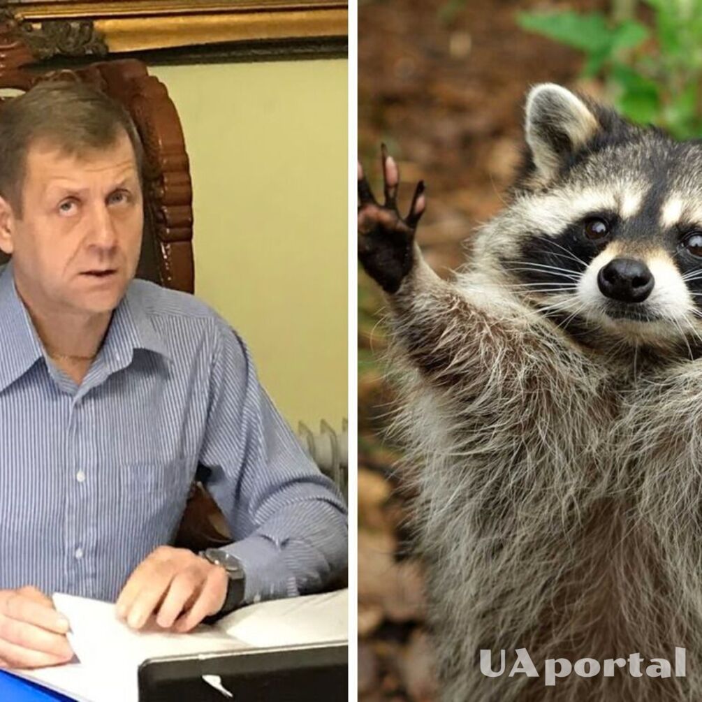 'Животное – на временном содержании': после скандала директор Ялтинского зоопарка пообещал вернуть похищенного енота