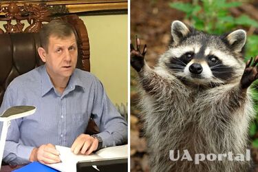 'Животное – на временном содержании': после скандала директор Ялтинского зоопарка пообещал вернуть похищенного енота