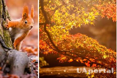 Сухо, солнечно и тепло: синоптики рассказали о погоде на завтра