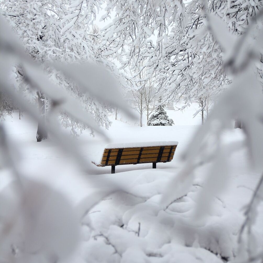 Суттєве похолодання та сніг: синоптик дав прогноз погоди в Україні на тиждень