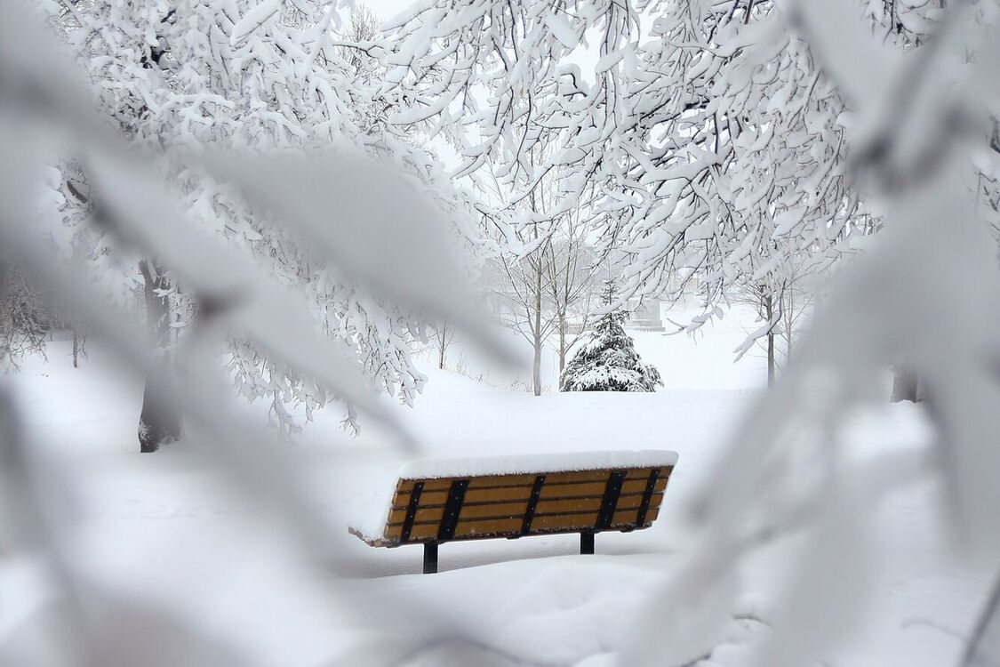 Существенное похолодание и снег: синоптик дал прогноз погоды в Украине на неделю