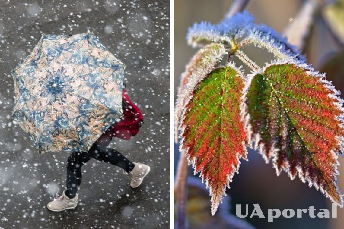 Погода в Україні на грудень - морози та снігопади прийдуть в Україну вже у грудні