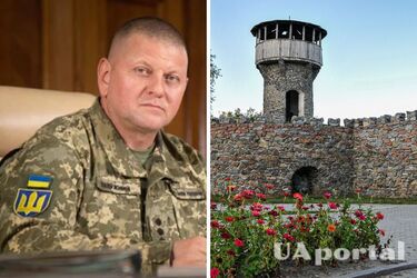 Рада переименовала город в Житомирской области, где родился Залужный