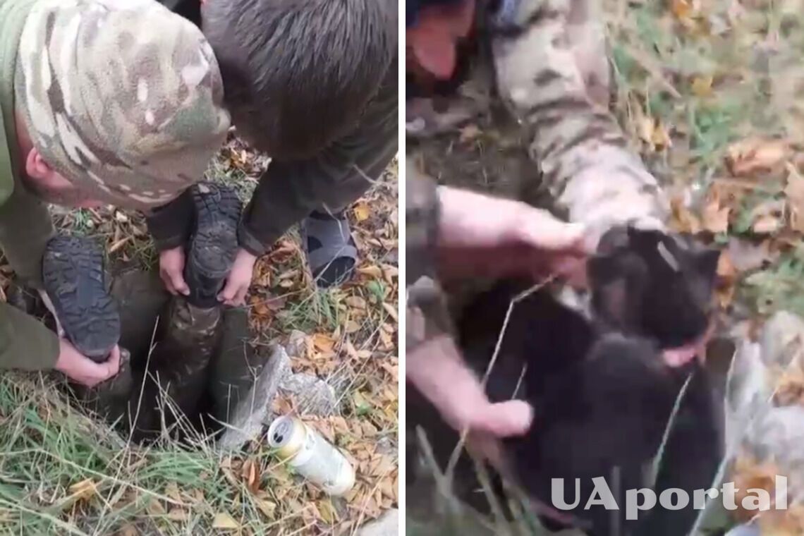 Догори ногами: українські воїни дістали цуценятко з покинутого колектора (відео)