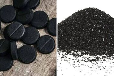 Как избавиться от плесени дома и очистить холодильник с помощью активированного угля