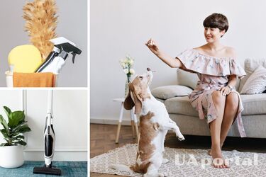 Если надоело убирать каждый день: как надолго избавиться от пыли в квартире или доме