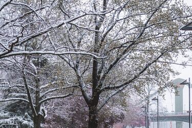 Різка зміна погоди: синоптики оголосили перший рівень небезпеки на 17 та 18 листопада