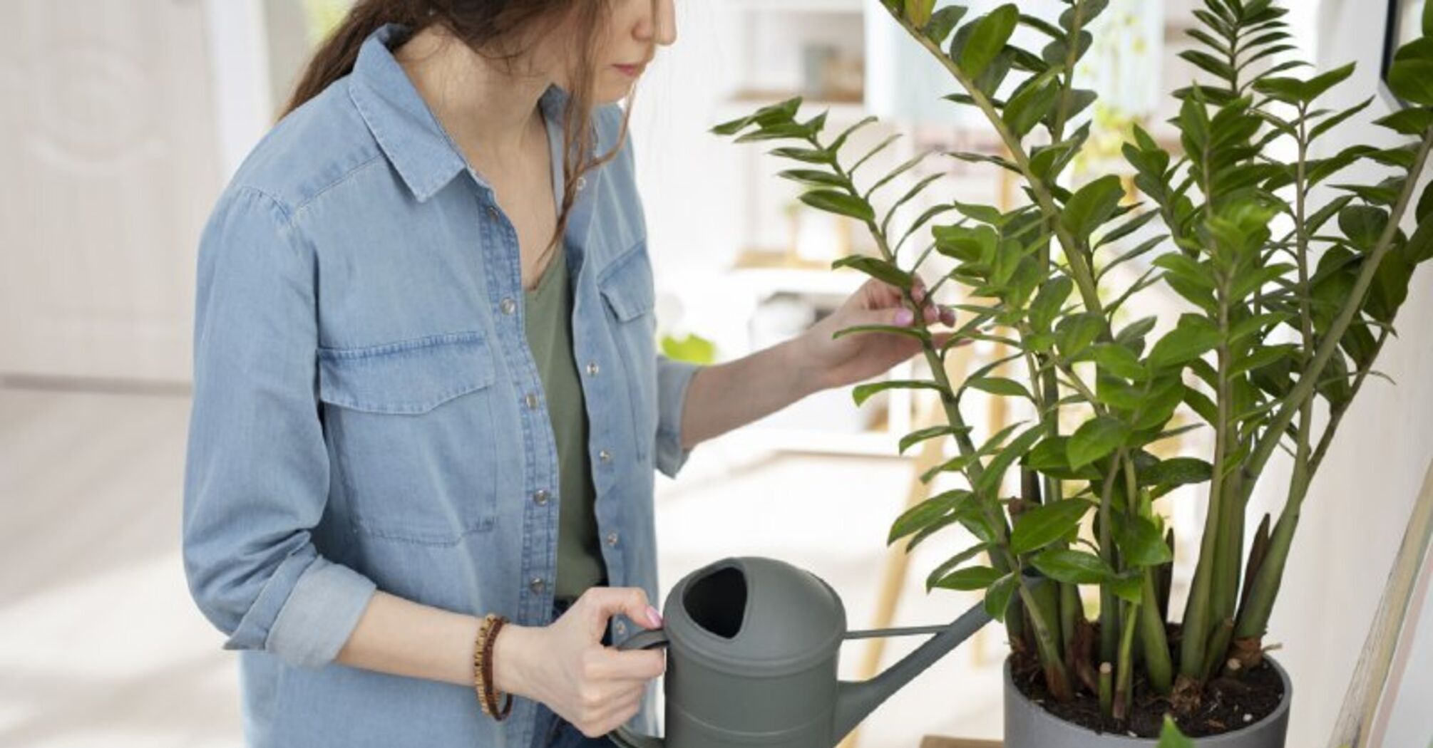 Тепла вода і вологі рушники: як варто змінити догляд за кімнатними рослинами взимку