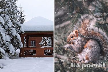 Погода не покращиться: синоптики обіцяють до 7 градусів морозу
