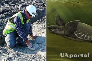 Пошук черепахи Leviathanochelys