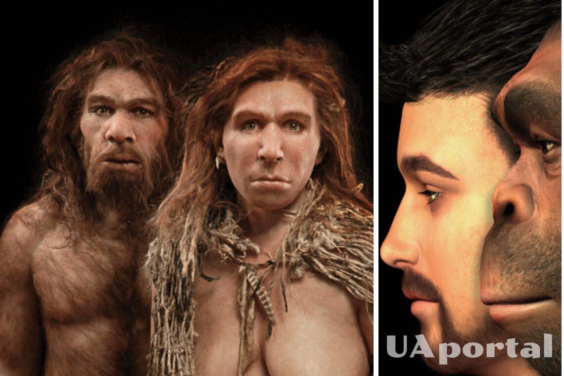 Яким був би світ неандертальців, якби вони вижили замість homo sapiens