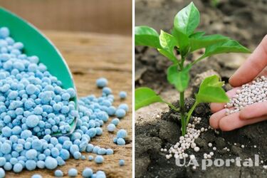 Як правильно вносити мінеральні добрива